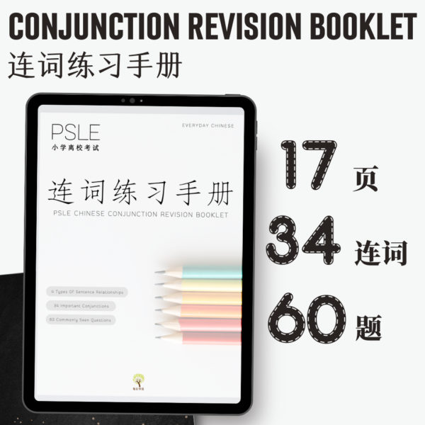 Conjunction revision booklet